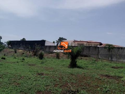Terrain à vendre à Odza borne 10