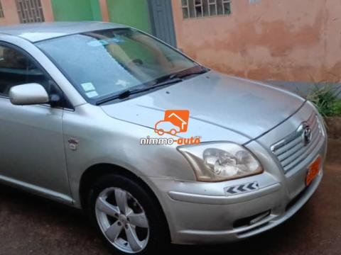 Avensis tête de cochon à vendre