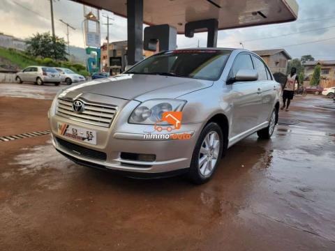 Toyota Avensis tête de cochon 2006