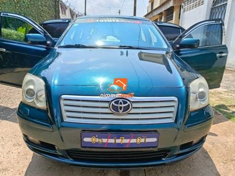 Toyota Avensis tête de cochon 2006