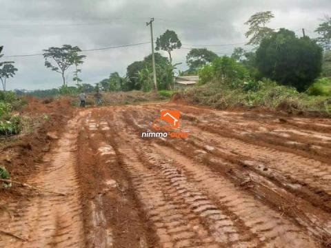 Titré à vendre à tsinga village