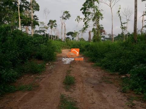 Terrain à vendre à Nsimalen