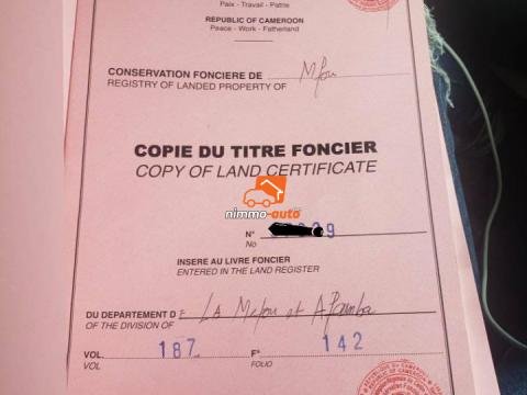Magnifique terrain titré et loti  à vendre à Mfou