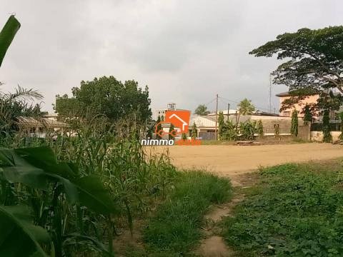 Terrain commercial à vendre à Logbaba