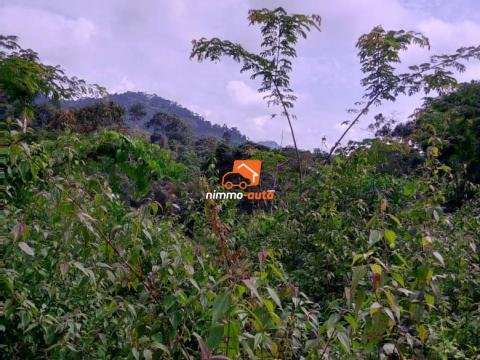 Terrain d'habitation à vendre à Eyang