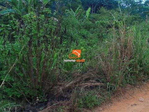 Terrain à vendre à Nkoabang derrière la Total