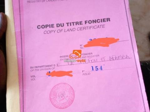 Terrain à vendre à Mve à Awae village