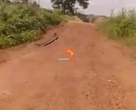 Terrain a vendre pk 21