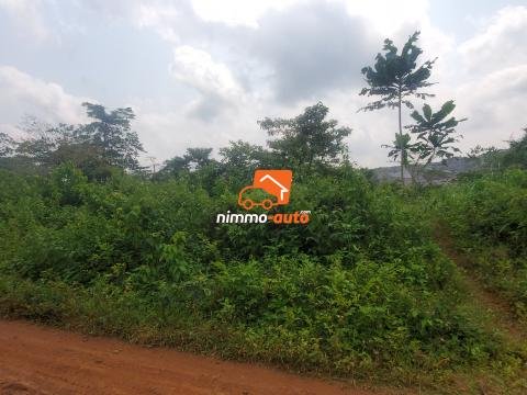 Terrain à vendre à Mbankomo