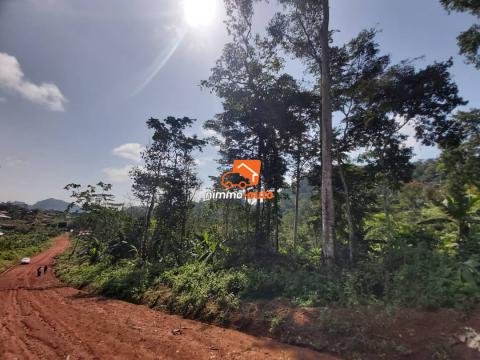 Terrain de 2.500m² à vendre à Eloumdem en Route