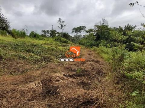 Vaste Terrain de 2.000m² à vendre à Nsimalen