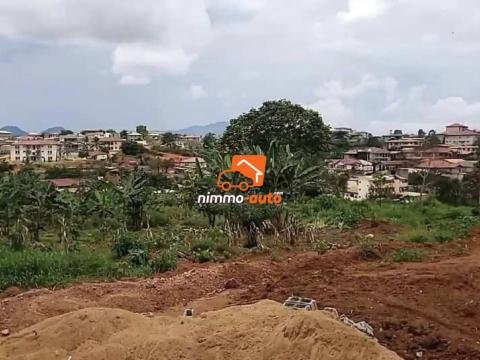 Terrain titré à vendre au Carrefour Nkolfoulou