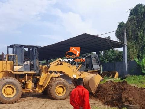 PELLE CHARGEUSE LIUGONG 856 CAT 966