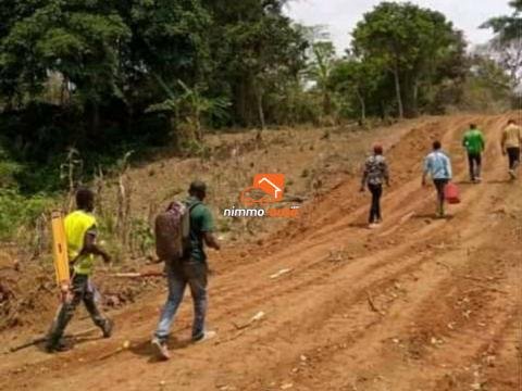 Terrain a vendre a mbankomo entrée Péage