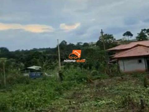 Terrain à vendre Nsimalen Odza