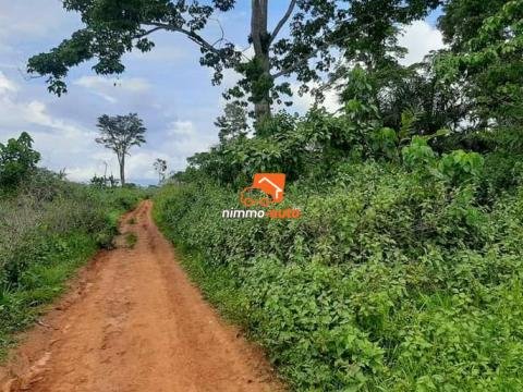 Terrain commercial à vendre au quartier Eleveur