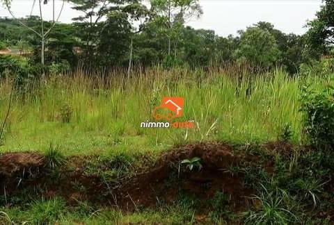 Terrain a vendre pk21