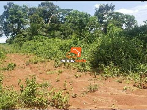 Terrain a vendre Total nkoabang (lieu dit Nolbison ) a 1 kilometre