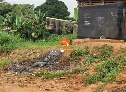 Terrain a vendre mimboman