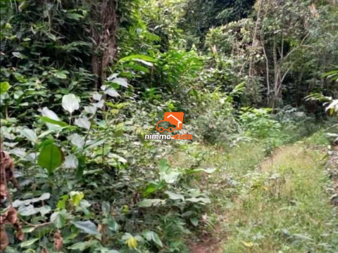 Terrain à vendre Nkolafamba