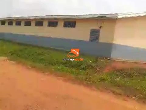 De très bon lots à vendre à nkozoa