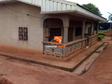 maison a vendre quartier nkoabang
