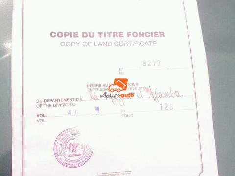 Terrain à vendre à Tsinga Village