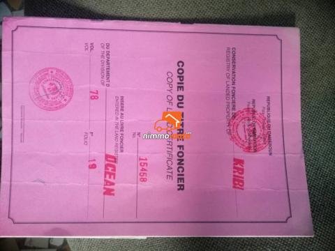 Terrain à vendre à Kribi