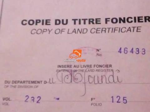 Terrain titré à vendre à Yaoundé Afan Oyoa