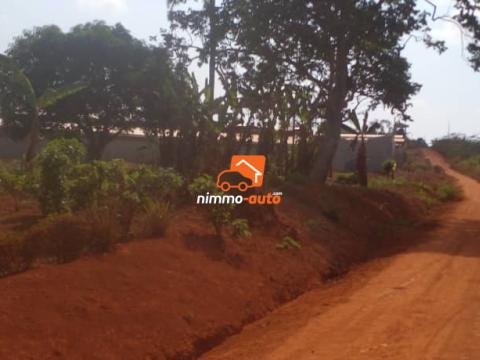 Terrain titré moins chèr à vendre à Yaoundé YEGUE-ASSI