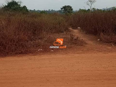 Terrain titré à vendre à Akak