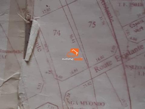 Terrain à vendre à Odza borne 12