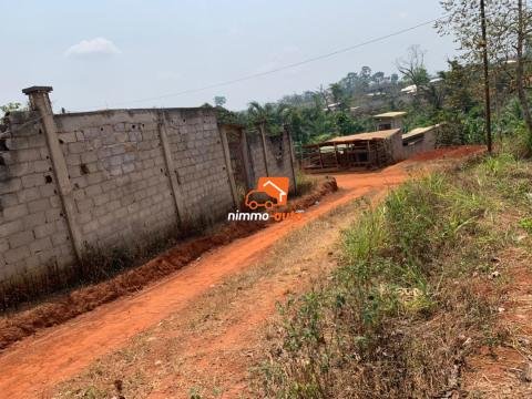 Terrain de 350m² Titrés à vendre à Nomayos