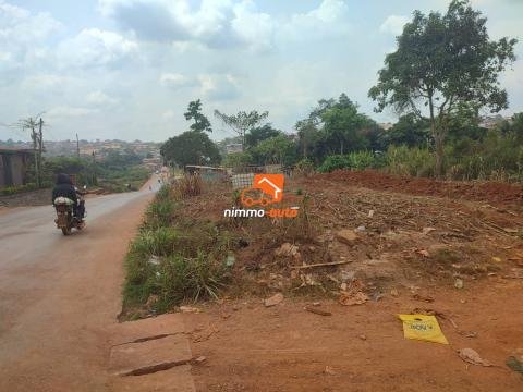 Terrain à vendre à Damas en Route