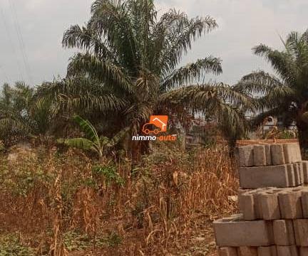 Terrain commercial à vendre à Mimboman