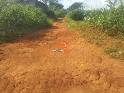Terrain à vendre à Ebang
