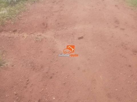 Terrain à vendre à l'auto-route Yaoundé Nsimalen