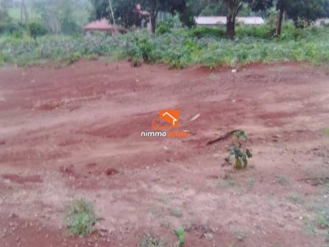 Tererain commercial à vendre à Yegue-Assi dans l'arrondissement d'Okola