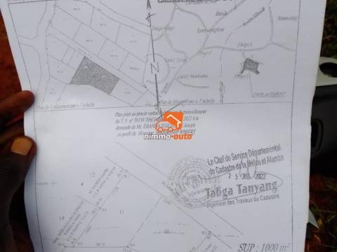 Terrain à vendre à Nkolfoulou