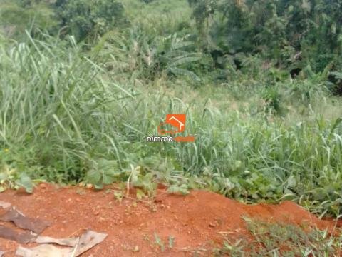 Terrain à vendre à Nkolbisson