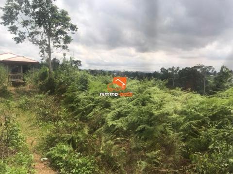 Terrain à vendre à Nsimalen