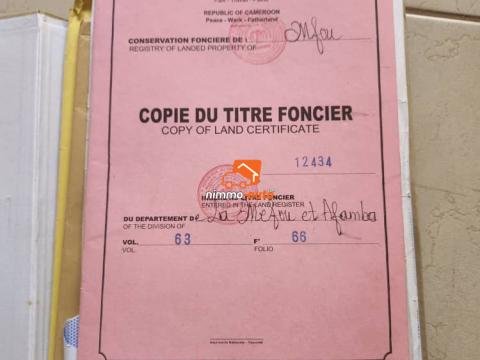 Terrain titré et bien placé à vendre à Nkolnda