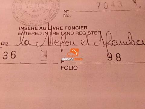 Terrain à vendre à Odza Nkolnda