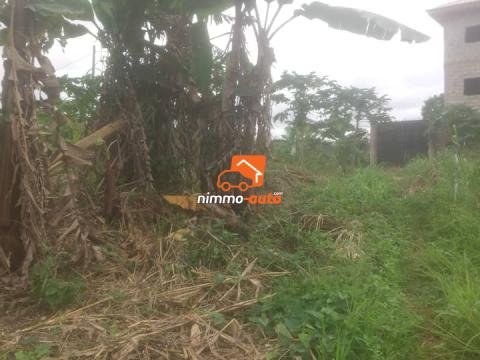 Terrain à vendre à Nkoabang