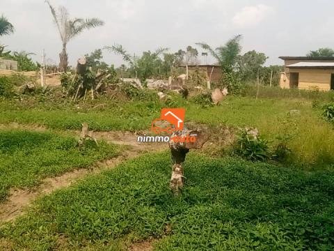Terrain titré à vendre à Bonaberi