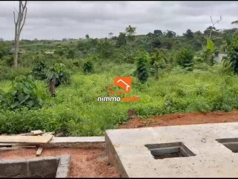 Terrain Titré de 1500m² à vendre à Nkolnda