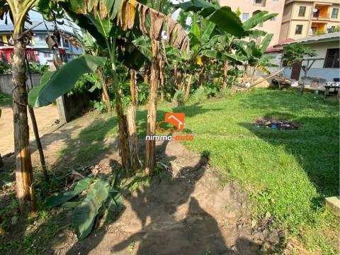 Terrain Titré de 450m² à vendre à Kotto, Douala