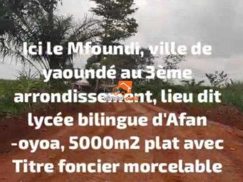 Terrain Plat Titré à vendre à Ahala