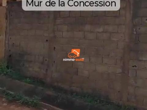 Terrain Titré d'Angle de 298m² avec Concession à vendre à Jouvence