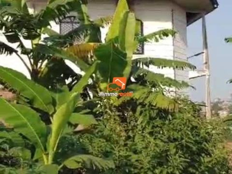 02 Lots de Terrain Titré Jumelé en 1200m² à vendre à Mvan